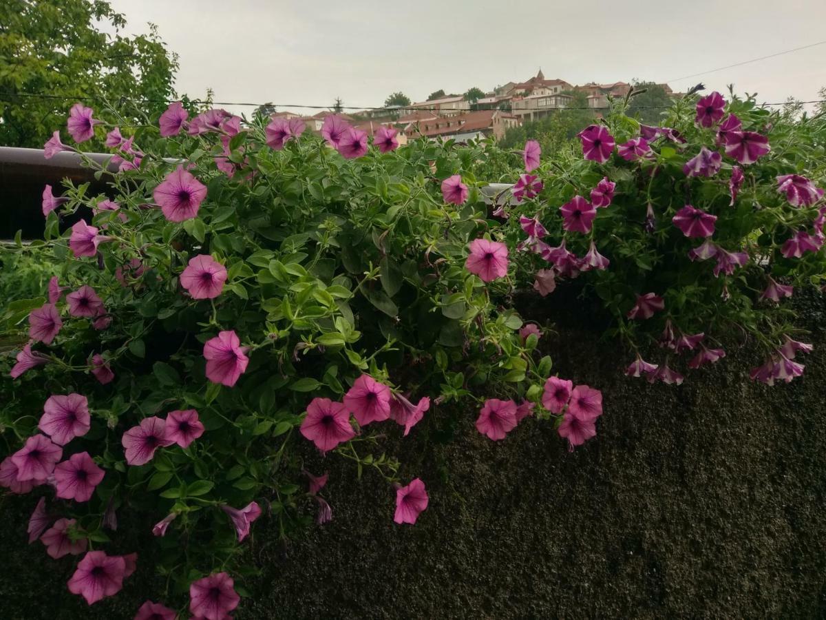 Guest House Vista シグナギ エクステリア 写真